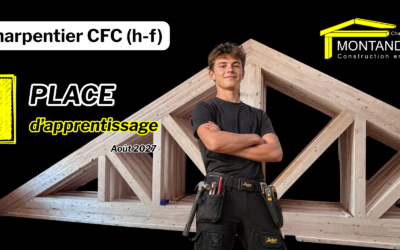 Apprenti charpentier ?